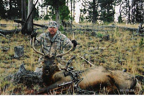 2004 Elk David Hays with nice Bull Elk