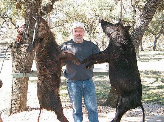 2004 Hog Hunt Texas Hog Hunt
                    - Neal Perkins