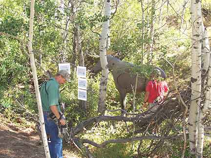 2005 Bowhunters Weekend Shooters pull arrows from
                    a Moose target